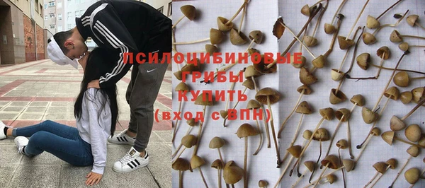 jwh Арсеньев